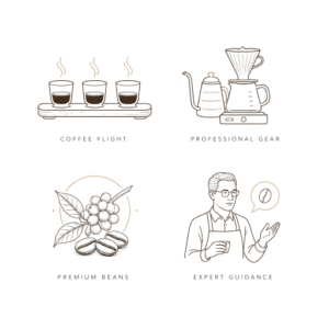 Expert Guidance illustration